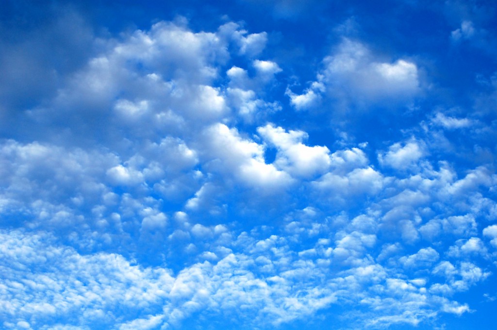 TCAP_ブランドピクチャー_Vision_2_青空